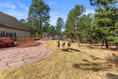 7635 Rollins Drive, Larkspur, CO 80118 - Photo 49