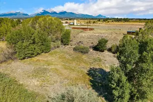 9901 Co Rd 120, Salida, CO 81201 - Photo 41