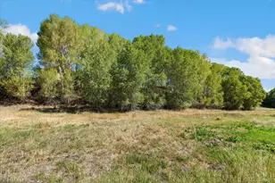 9901 Co Rd 120, Salida, CO 81201 - Photo 45