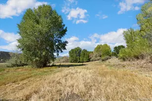 9901 Co Rd 120, Salida, CO 81201 - Photo 43