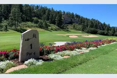 5291 Country Club Drive, Larkspur, CO 80118 - Photo 7