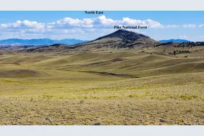 1804 Santee Trail, Guffey, CO 80820 - Photo 5