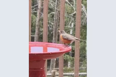 8790 S Warhawk Road, Conifer, CO 80433 - Photo 33