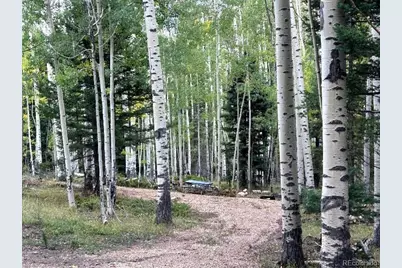Lot 5174 Mo Road, Fort Garland, CO 81133 - Photo 5