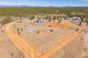 78 Moss Rock Dr, Divide, CO 80814 - Photo 41