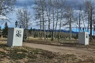 78 Moss Rock Dr, Divide, CO 80814 - Photo 3