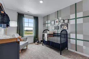 4668 Combine Ln, Johnstown, CO 80534 - Photo 29