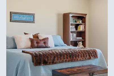13424 Alex Pl Place, Carr, CO 80612 - Photo 21