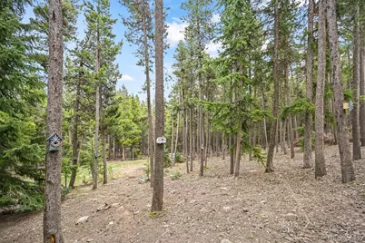 1673 Sinton Road, Evergreen, CO 80439 - Photo 37