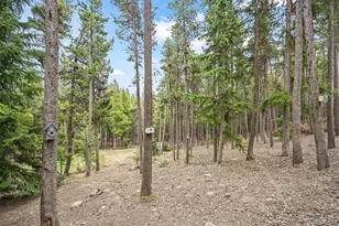 1673 Sinton Rd, Evergreen, CO 80439 - Photo 37