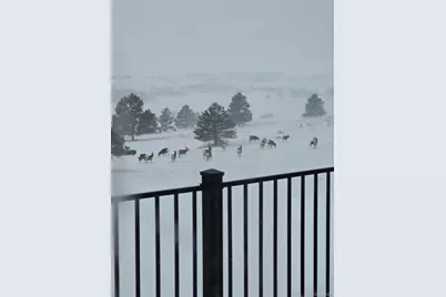 33442 County 25 Road, Elizabeth, CO 80107 - Photo 33