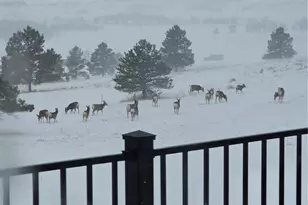 33442 County 25 Rd, Elizabeth, CO 80107 - Photo 33