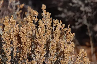 Corner Roads D and 12.5, San Luis, CO 81152 - Photo 23