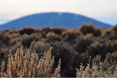 Corner Roads D and 12.5, San Luis, CO 81152 - Photo 29