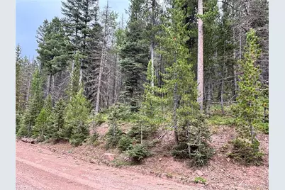 00 Moir Drive, Fort Garland, CO 81133 - Photo 3