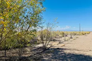 810 Road 110, Mosca, CO 81146 - Photo 25