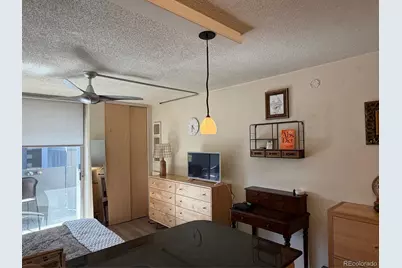 909 N Logan Street #6D, Denver, CO 80203 - Photo 5