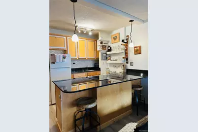 909 N Logan Street #6D, Denver, CO 80203 - Photo 3