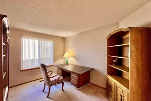 10907 Baxter Dr, Parker, CO 80134 - Photo 19