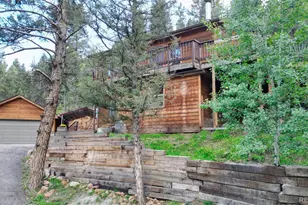 961 Roland Dr, Bailey, CO 80421 - Photo 9