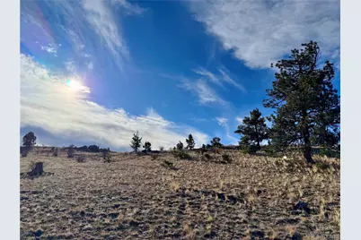 10620 Routt Road, Lake George, CO 80449 - Photo 5