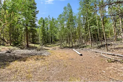 Lot 1 Venture Road, Fairplay, CO 80440 - Photo 5