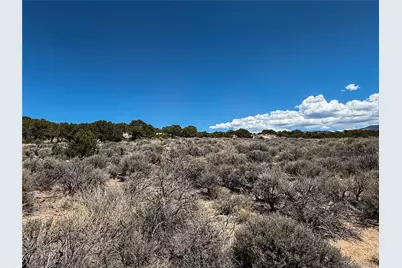 Lot 1058 Hotchkiss Road, Fort Garland, CO 81133 - Photo 13