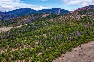 10475 County Road 12, Cotopaxi, CO 81223 - Photo 45