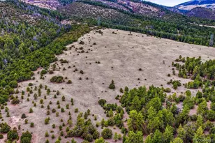 10475 County Road 12, Cotopaxi, CO 81223 - Photo 39