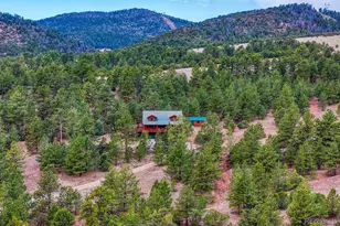 10475 County Road 12, Cotopaxi, CO 81223 - Photo 3