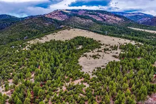 10475 County Road 12, Cotopaxi, CO 81223 - Photo 37