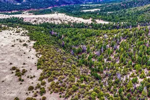 10475 County Road 12, Cotopaxi, CO 81223 - Photo 43