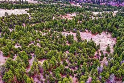 10475 County Road 12, Cotopaxi, CO 81223 - Photo 41