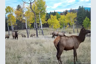 12434 S US Hwy 285, Conifer, CO 80433 - Photo 5