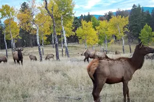 12434 S US Hwy 285, Conifer, CO 80433 - Photo 5