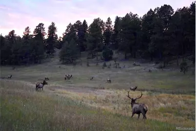 12434 S US Hwy 285, Conifer, CO 80433 - Photo 11