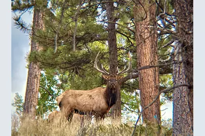 12434 S US Hwy 285, Conifer, CO 80433 - Photo 49