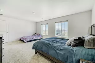 18379 Field Mint Pt, Parker, CO 80134 - Photo 27