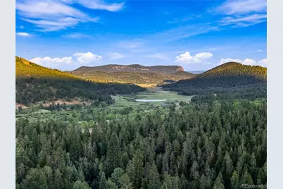 222 Road P60, Bailey, CO 80421 - Photo 39