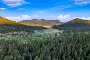 222 Road P60, Bailey, CO 80421 - Photo 39