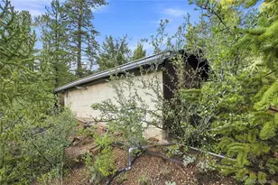 222 Road P60, Bailey, CO 80421 - Photo 29