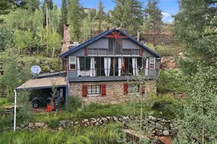 222 Road P60, Bailey, CO 80421 - Photo 5