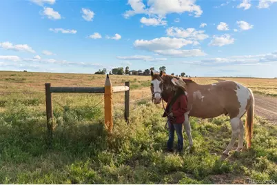 11881 County Road 37, Fort Lupton, CO 80621 - Photo 7