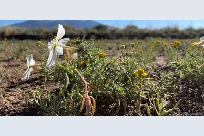 R047943, Blanca, CO 81123 - Photo 9