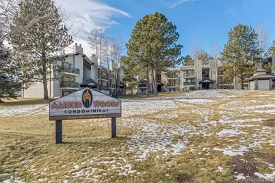 29656 Buffalo Park Road #206, Evergreen, CO 80439 - Photo 5