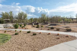 9283 Twenty Mile Road, Parker, CO 80134 - Photo 29
