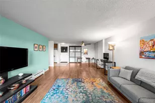 1029 E 8th Ave, Denver, CO 80218 - Photo 9