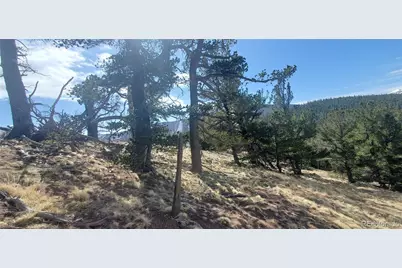 Lot 2740 Newman Place, Fort Garland, CO 81133 - Photo 5