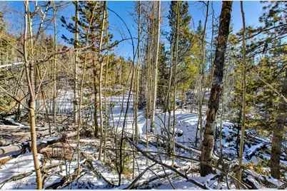 96 Dead Toad Road, Alma, CO 80420 - Photo 33