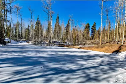 96 Dead Toad Road, Alma, CO 80420 - Photo 9